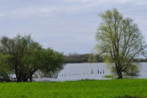 Lac-de-Grandlieu-Passay