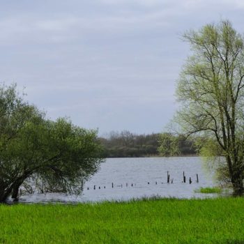 Lac-de-Grandlieu-Passay